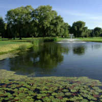 View from Shadow Ridge GC