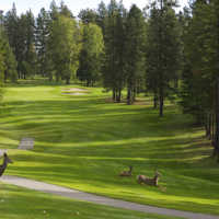 Kimberley GC: Deer on the 17th fairway