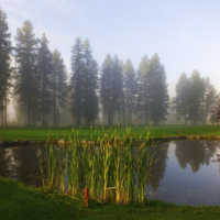 Kimberley GC: View from #3
