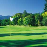 A view of green at Cowichan Golf and Country Club