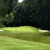 The par-3 16th is part of a nice finishing kick at Duncan Meadows Golf and Country Club