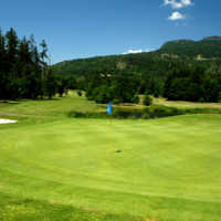 The par-5 17th at Duncan Meadows Golf and Country Clubs can be reached in two by long hitters, but it will take an accurate second shot with a hazard in front of the green.