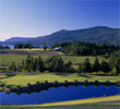 Arbutus Ridge Golf and Country Club