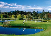 Arbutus Ridge Golf