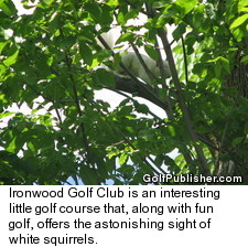 Ironwood Golf Club - White Squirrels
