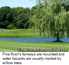 Canada Pine Knot