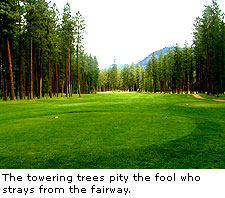 Christina Lake Golf Club