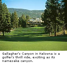 Gallagher's Canyon