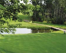 Forest Hills Golf Course 