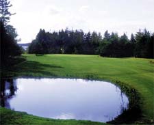 Rollo Bay Greens   