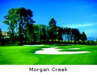 Morgan Creek