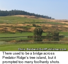 Predator Ridge Golf Course - No. 5