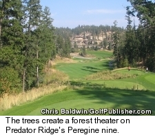Predator Ridge Golf Course - Trees at Nine