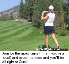Quail at Okanagan Golf Club - Mountains