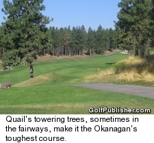 Quail at Okanagan Golf Club - Trees