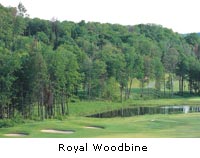 Royal Woodbine 