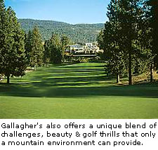 Gallagher