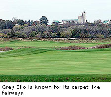 Grey Silo