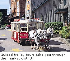 Jacobs Guided Trolley