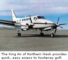 The King Air
