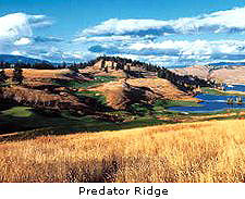 Predator Ridge