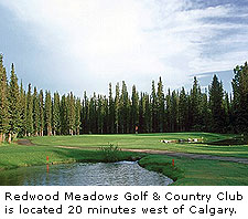 Redwood Meadows
