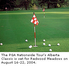 Redwood Meadows